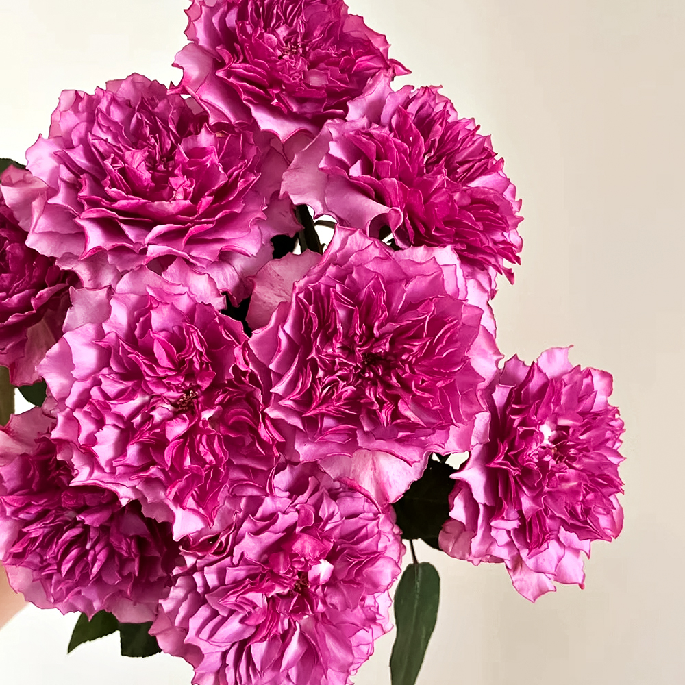���������� ���� �����-��������� �������� ������������ ������  