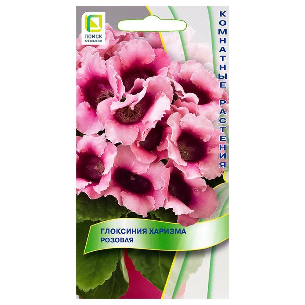 ���������� ��������� ������� ������� �����  