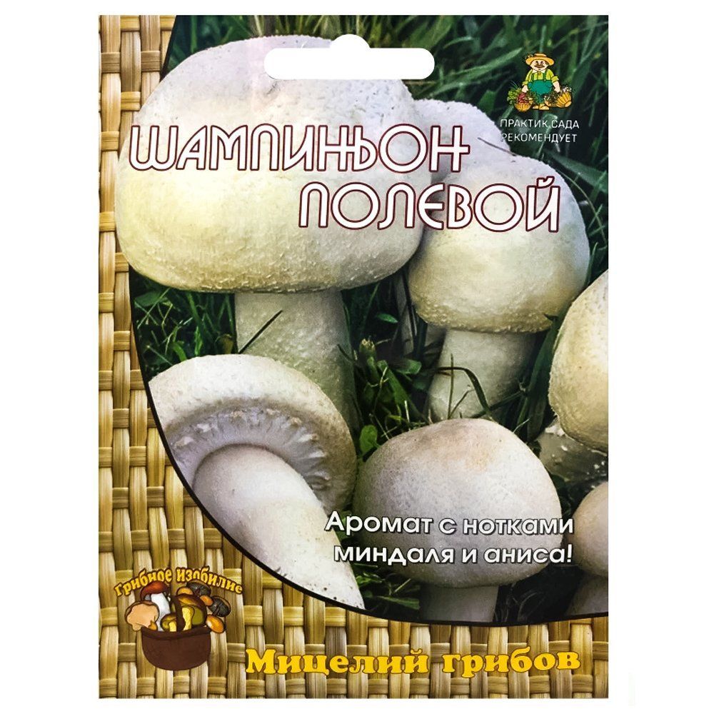 ���������� ��������� ������� �����  