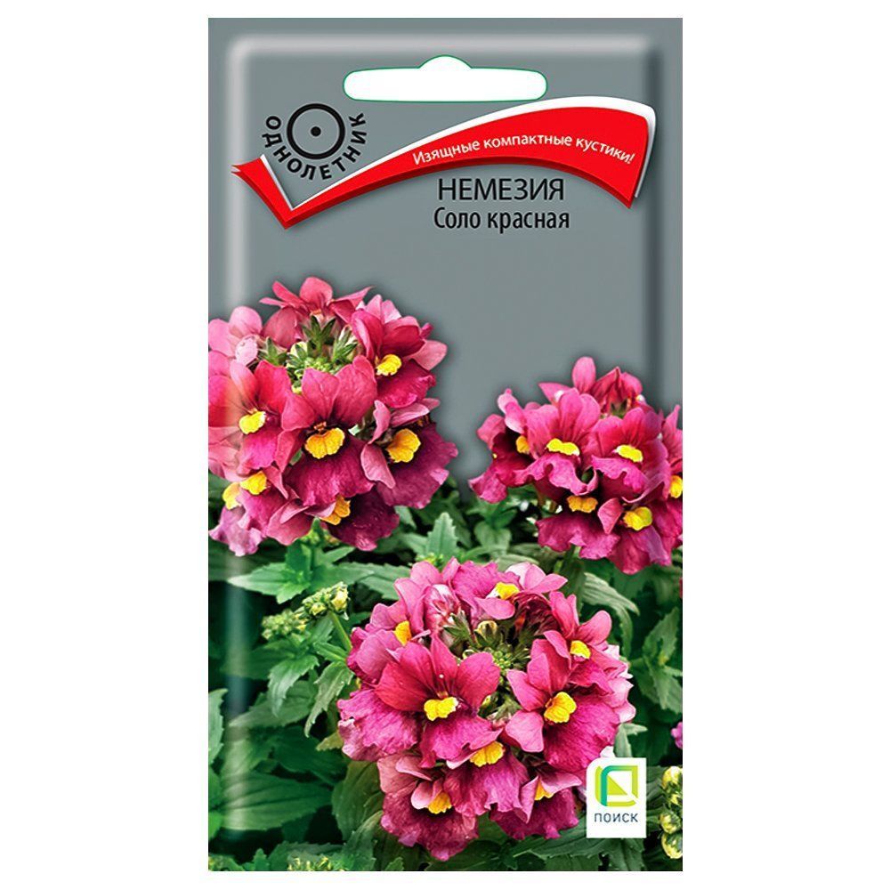 ���������� ������� ���� ������� �����  