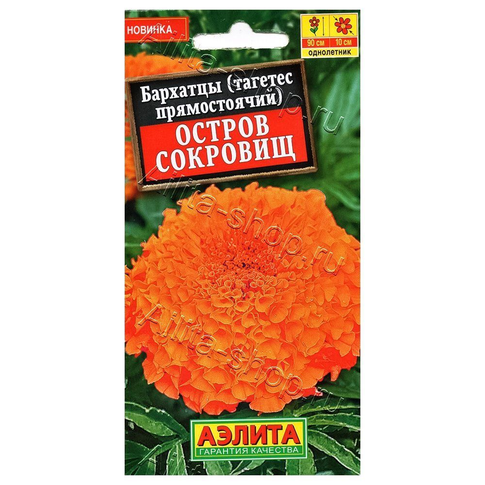 ���������� �������� ������������ ������ �������� ������  