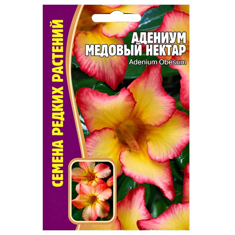 ���������� ������� ������� ������ ������ ������  