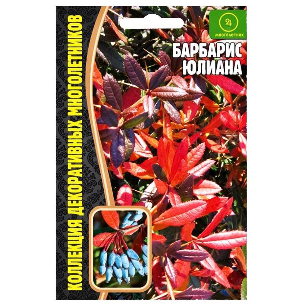 ���������� �������� ������ ������ ������  