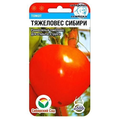 ���������� ����� ��������� ������ ��������� ���  