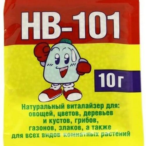 ���������� ��-101, ���������� ����� 10 �  