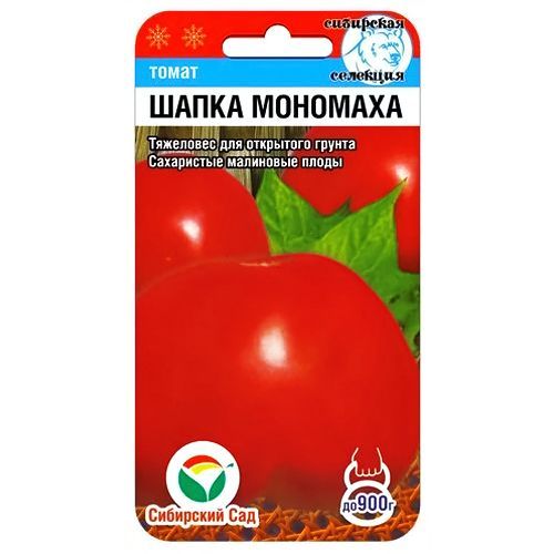 ���������� ����� ����� �������� ��������� ���  