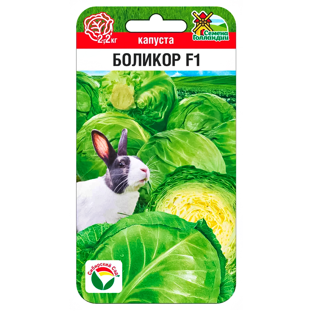 ���������� ������� ������������ ������� F1 ��������� ���  