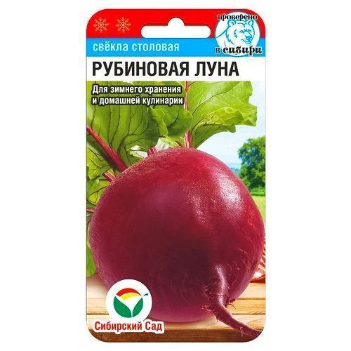 ���������� ������ ��������� ���� ��������� ���  