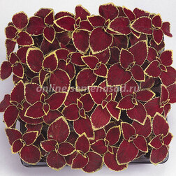 ���������� ������ ������ ������� (1��-1000��) ���������������� ������  