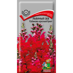 ���������� ������� ��� ��������-������� �����  