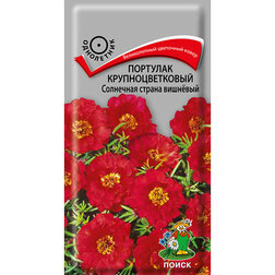 ���������� �������� ��������������� ��������� ������ ��������  