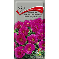 ���������� �������� ��������������� ��������� ������ �������  