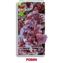 ���������� ����� �����  