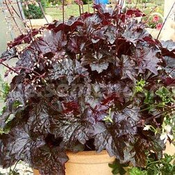 ���������� ������� ����� ����� (1��-1000�����) ���������������� ������  