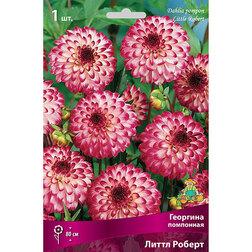 ���������� �������� ��������� ����� ������  