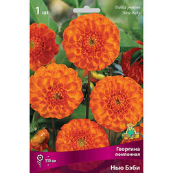 ���������� �������� ��������� ��� ����  