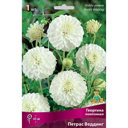 ���������� �������� ��������� ������ �������  