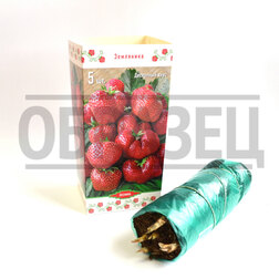 ���������� ��������� ������� ���� �� ��� (5 ��.)  