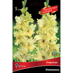 ���������� ��������� �������� (5 ��.)  