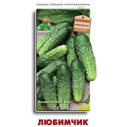 ���������� ������ ��������  