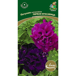 ���������� ������� �������� ������ ��������� (���� ������. �� ����� 2024 �)  