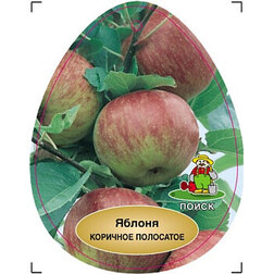 ���������� ������ �������� ���������  