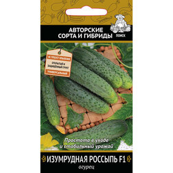 ���������� ������ ���������� ������� F1  