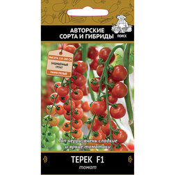 ���������� ����� ����� F1  