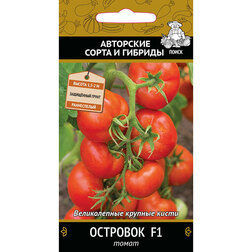 ���������� ����� �������� F1  