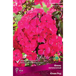 ���������� ����� ����������� ���� ���  