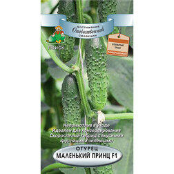 ���������� ������ ��������� ����� F1  