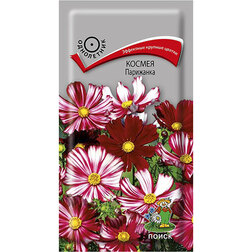 ���������� ������ ���������  