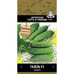 ���������� ������ ������ F1  