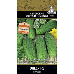 ���������� ������ ����� F1 (���� ������. �� ����� 2024 �)  