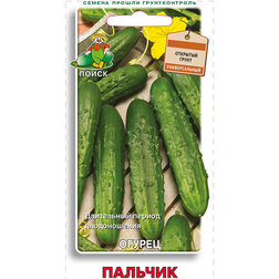 ���������� ������ �������  