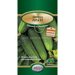 ���������� ������ ���� F1  