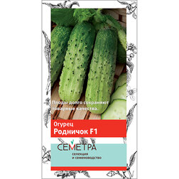 ���������� ������ �������� F1  