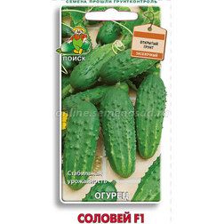 ���������� ������ ������� F1  