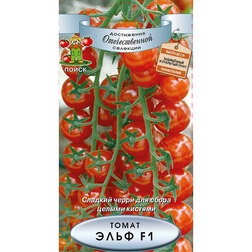 ���������� ����� ���� F1  