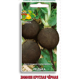 ���������� ������ ������ ������� ������  