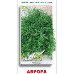 ���������� ����� ������  