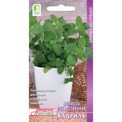 ���������� ������� ������������� (�������� ����) �������  