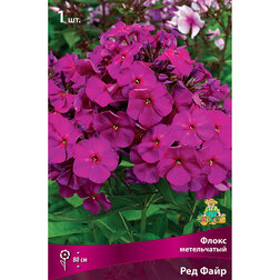 ���������� ����� ����������� ��� �����  