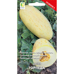 ���������� ���� �������  