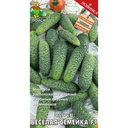 ���������� ������ ������� ������� F1  