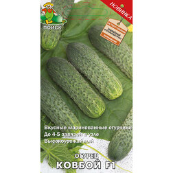 ���������� ������ ������ F1  