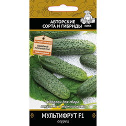 ���������� ������ ���������� F1  