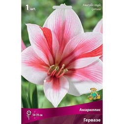���������� ��������� ������� �������  