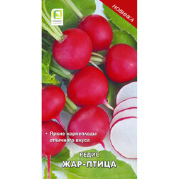 ���������� ����� ���-�����  