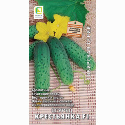 ���������� ������ ���������� F1 (��������� �����)  